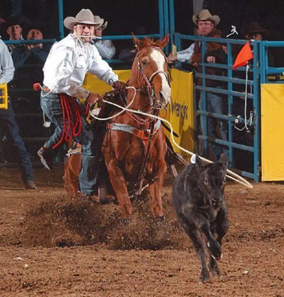 Amarillo Welcomes Cloned Horse Little Topper