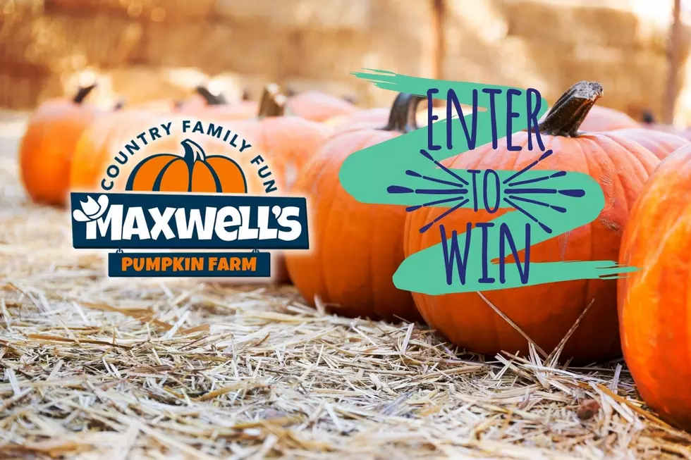 Enter to Win A Smashing Good Time at Maxwell’s Pumpkin Farm!