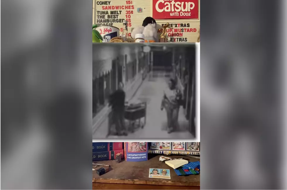 TikTok/Catsupwithdoug