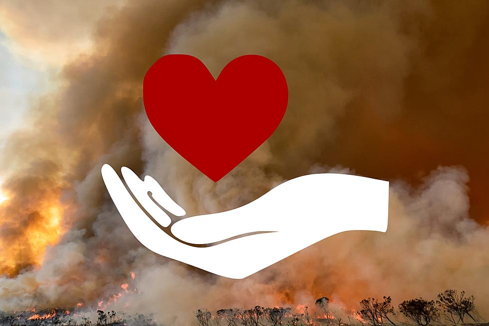 Here’s How to Help The Texas Panhandle Recover From the Smokehouse Wildfire