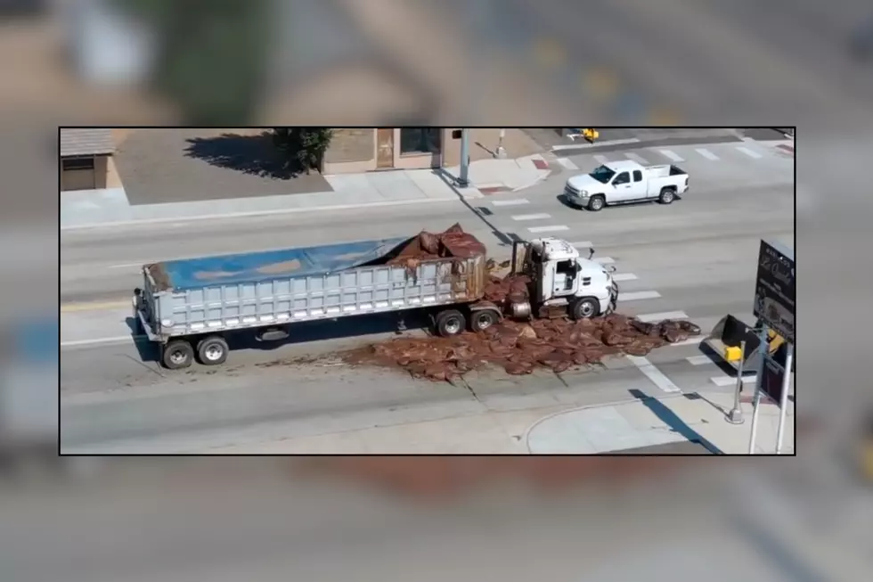 Texas Highway Smothered By Unbearable Stench After Truck Spills Load of Animal Guts