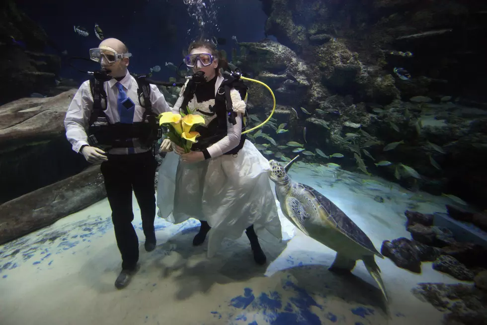 Couple Spends Valentine&#8217;s Day Underwater
