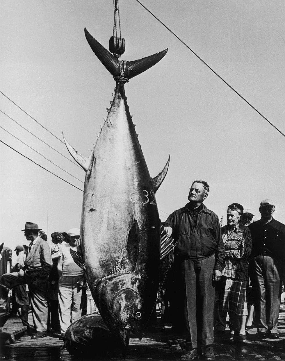 A New Zealand Man May Have Caught The World&#8217;s Biggest Tuna