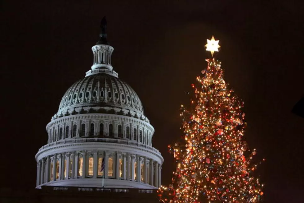 The US Capitol Christmas Tree Making Another Stop In Amarillo On Wednesday, November 14th