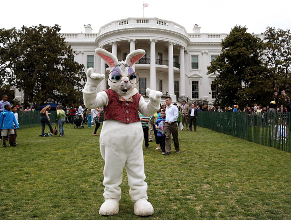 Why Are Kids Are Afraid Of The Easter Bunny [VIDEO]