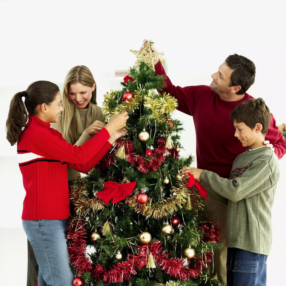 When Is the Right Time to Put Up the Christmas Tree?