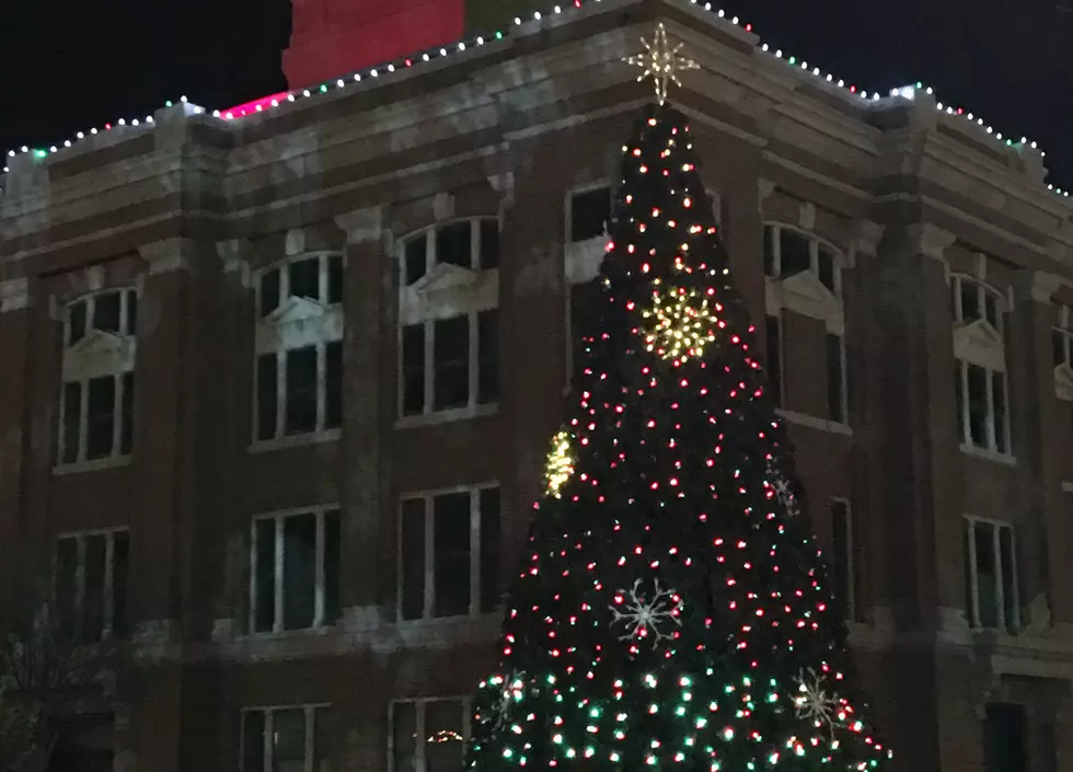 You Have To See Canyon’s New Christmas Tree Show