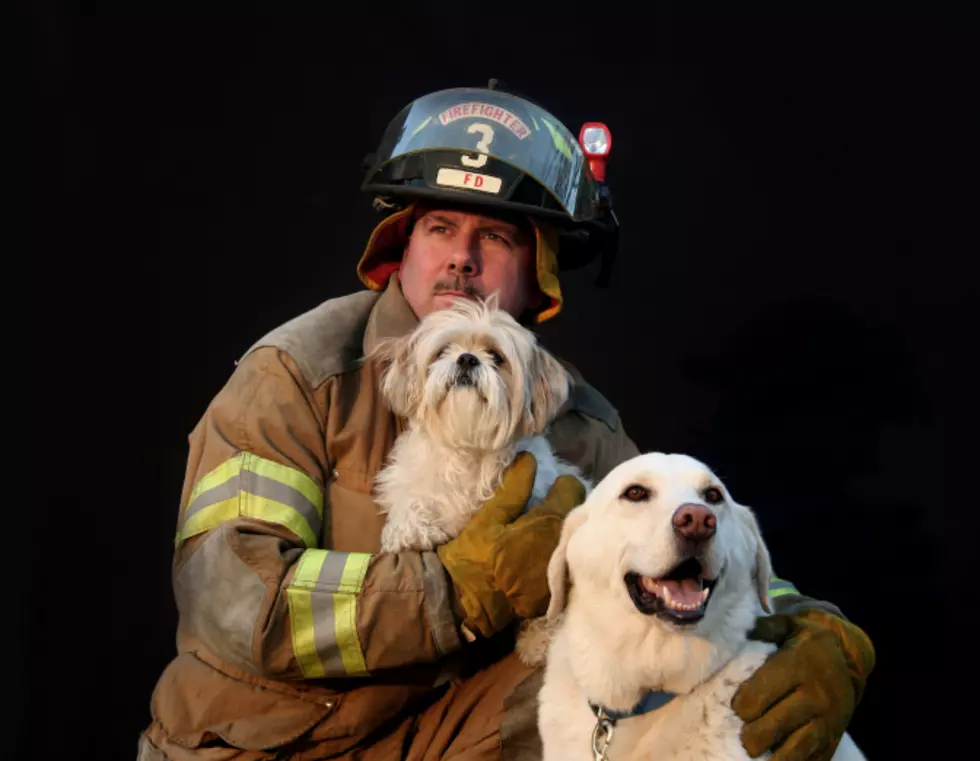 Feel Good: Dalhart Fire Fighters Rescues Dog from Grain Bin