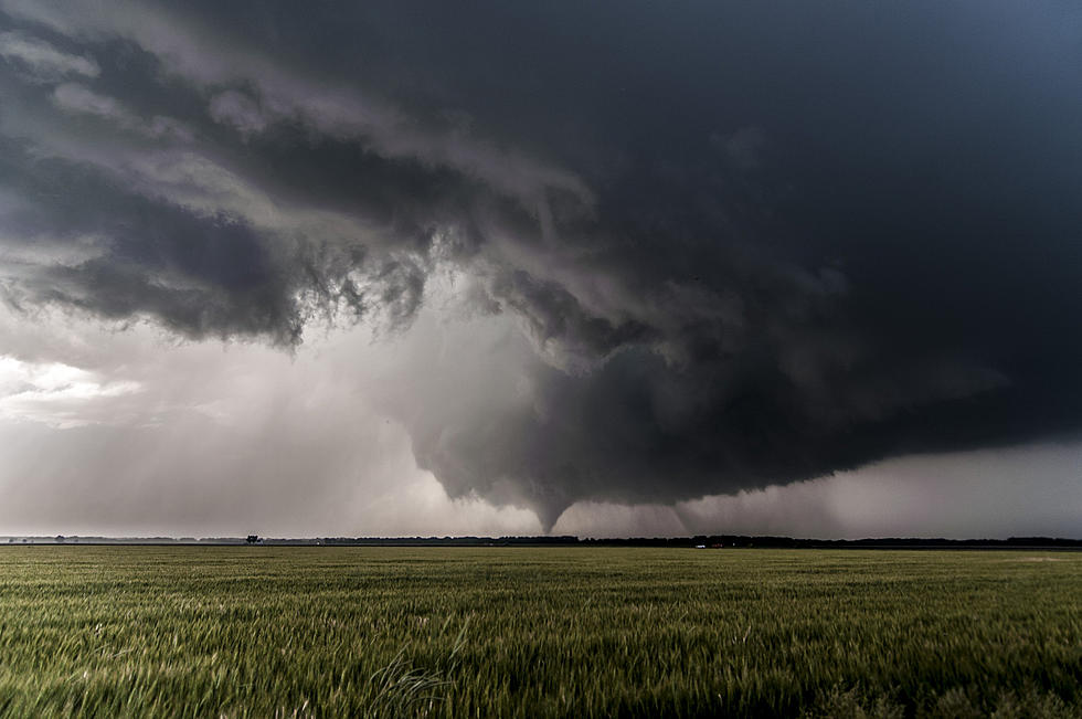 "Would You Entertain the Notion Of Storm Chasing?" No...