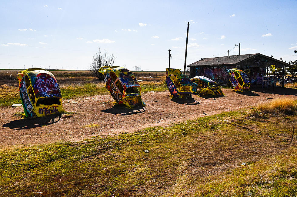 Forget the Cadillac Ranch, How About Taking a Trip to The Bug Ranch?