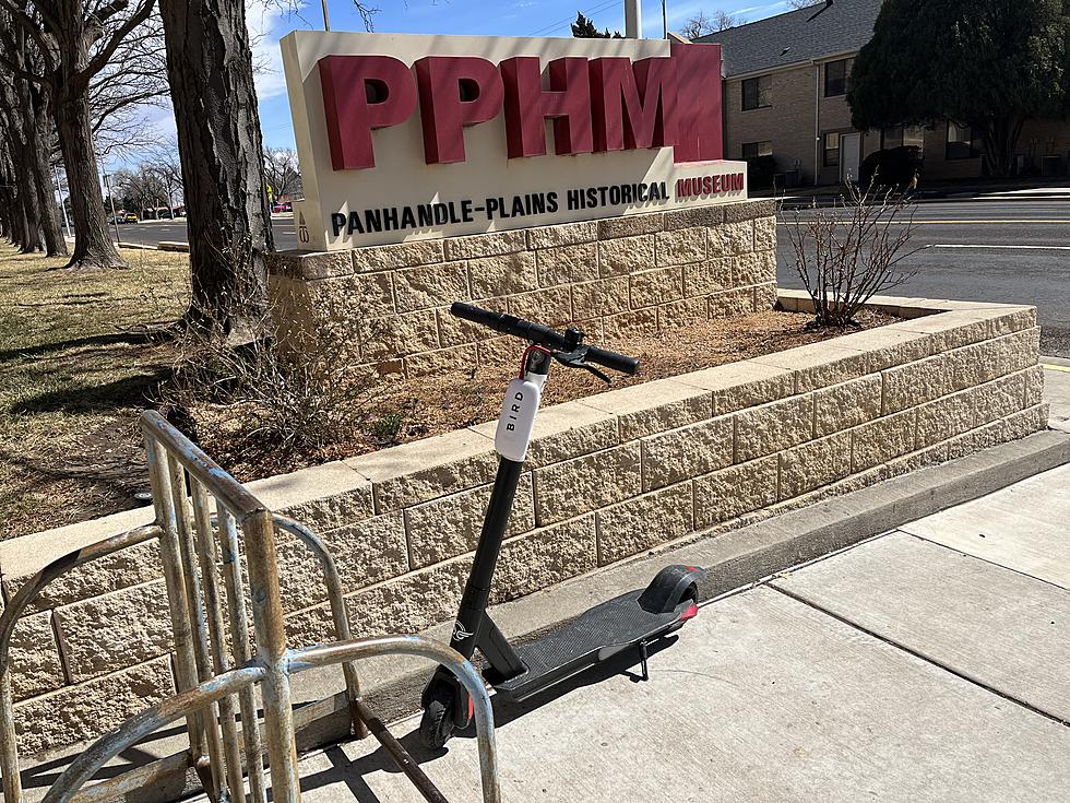 WT Students Can Now Zoom Through Campus on Two Wheels