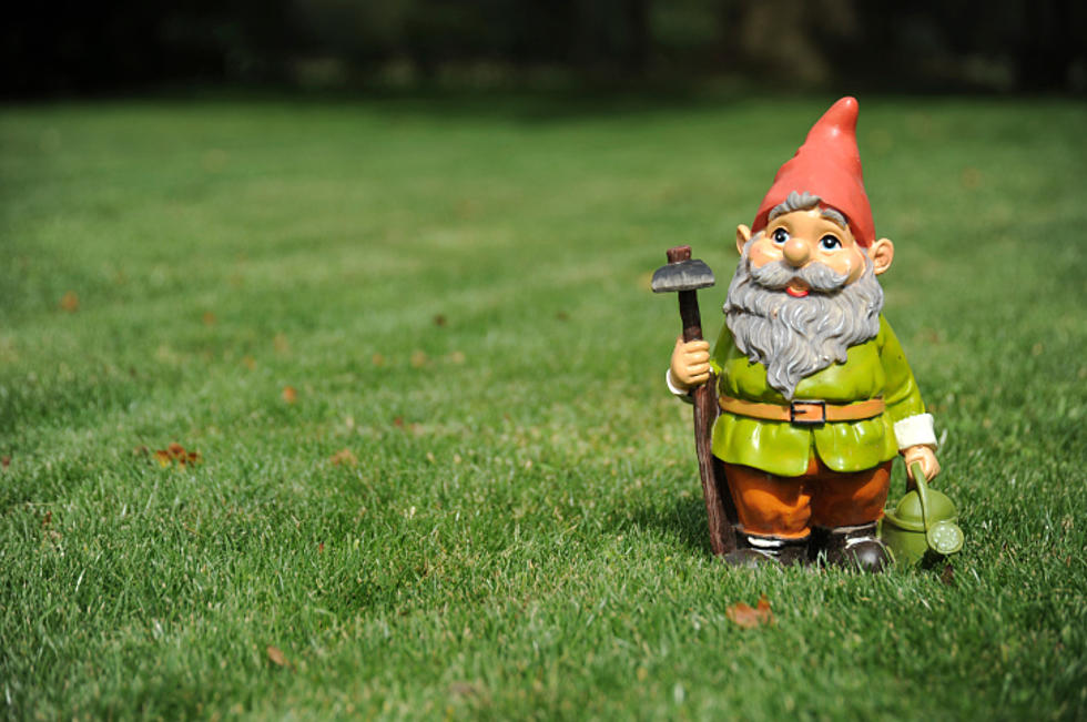 An Unspoken Rule: Don’t Mess with Another Person’s Garden Gnome