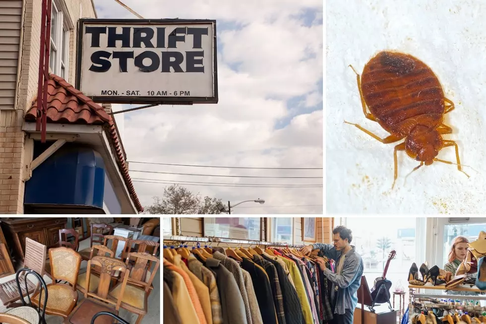 How To Avoid Bringing Bed Bugs In Your Home After Thrifting