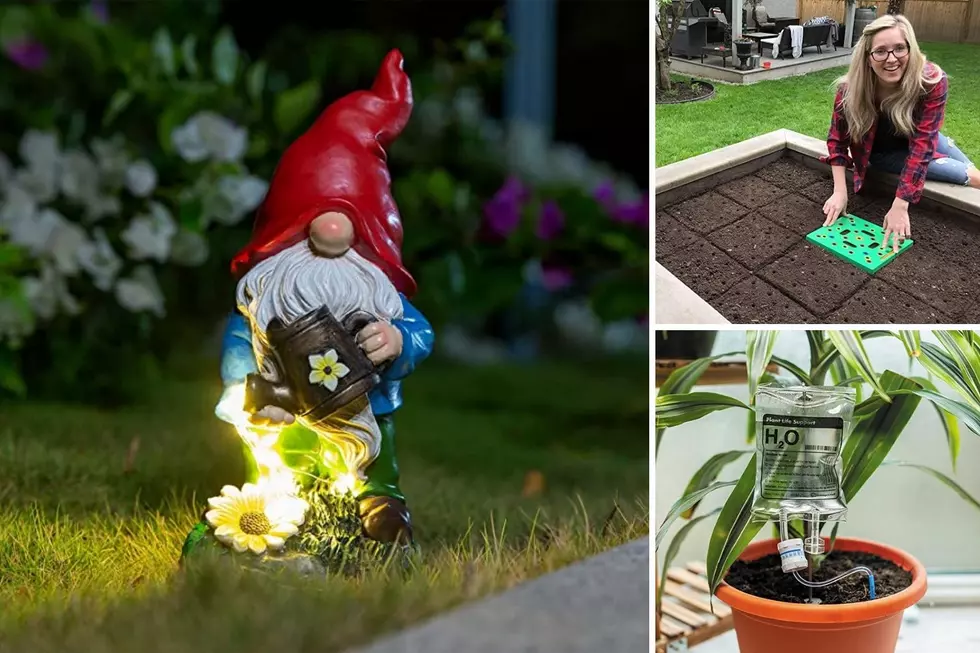Cute Products You Need That Your Garden And Plants Will Love