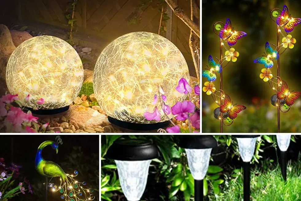 Beautiful Lights to Illuminate Your Garden at Night