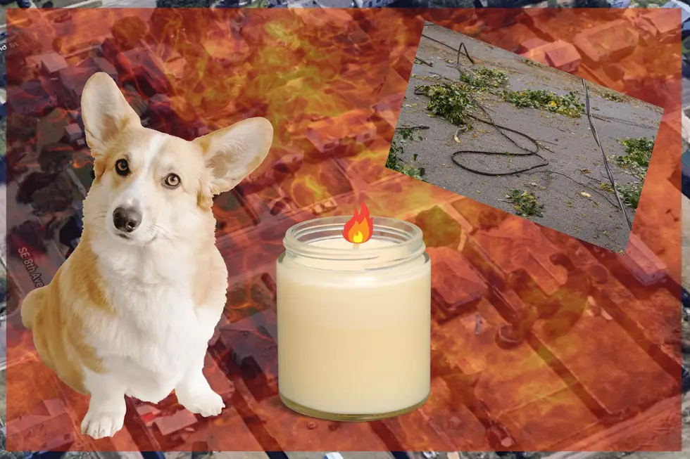 Ingredients for Amarillo House Fire – Dog, Candle and Power Line