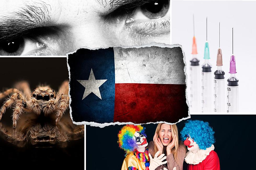 Nightmare Fuel: The Biggest Phobias in Texas