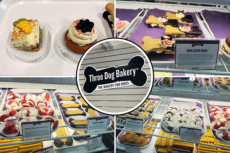 New Pet Bakery in Amarillo Tail-Wags Its Way Into the Hearts of Local Furry Friends!