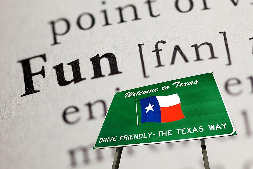 Texas Shines Bright: A Lone Star State of Fun Ranks Among Top 10 in the Nation