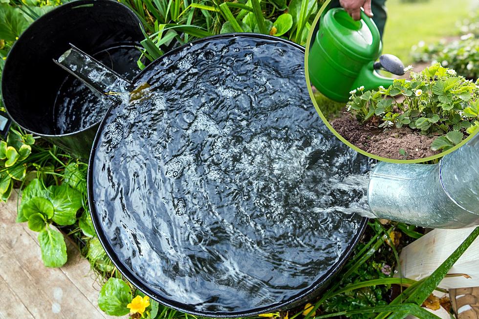 Are Your Breaking the Law if You Collect Rainwater in Texas?