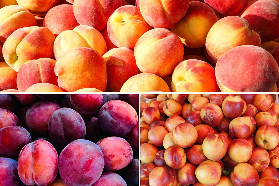 Peaches – hmcfarms