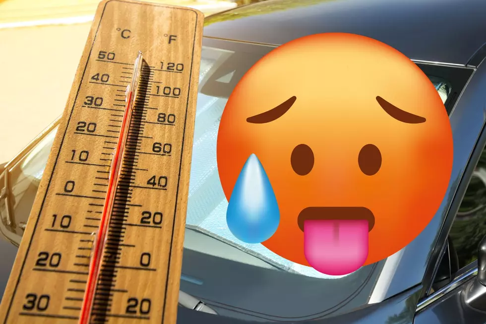 WARNING: Do Not Leave These Items In Your Car During the Hot Texas Summer