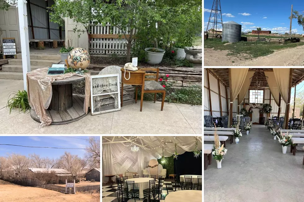 FOR SALE: Own this Beautiful Wedding Venue and Home Outside Amarillo