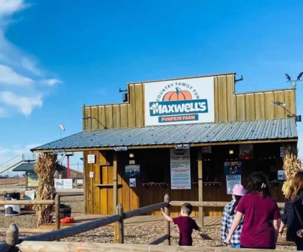 Mystery Construction Spotted at Maxwell’s Pumpkin Farm