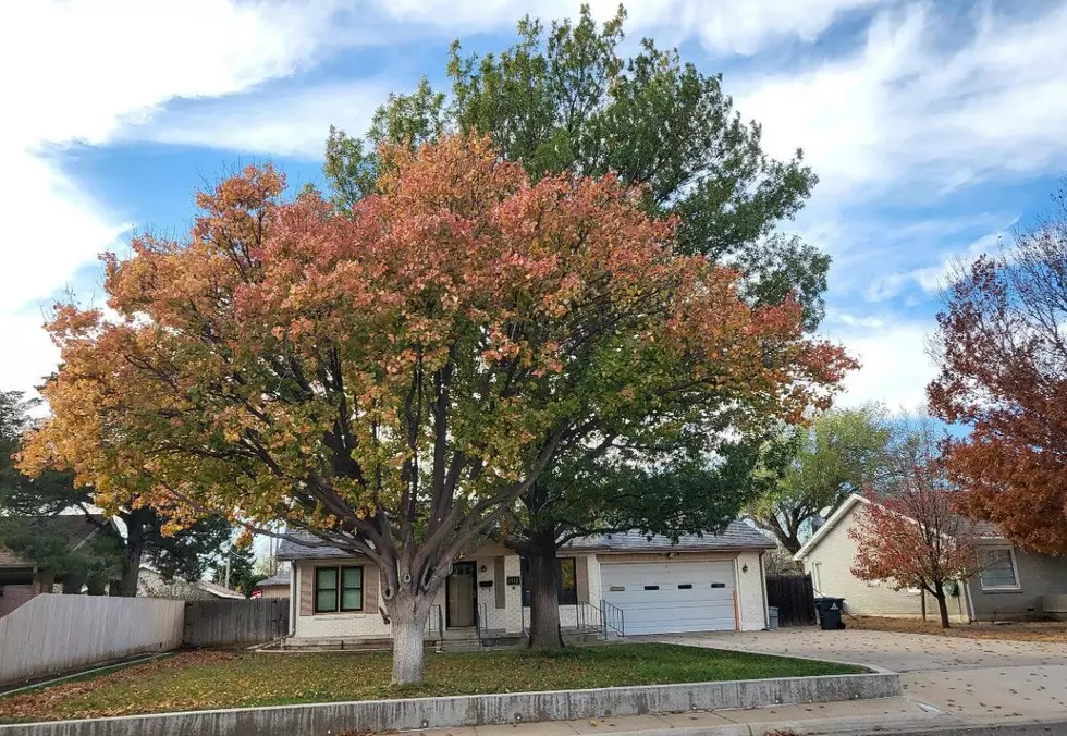 Amarillo Fall Events: Everything Happening This Season