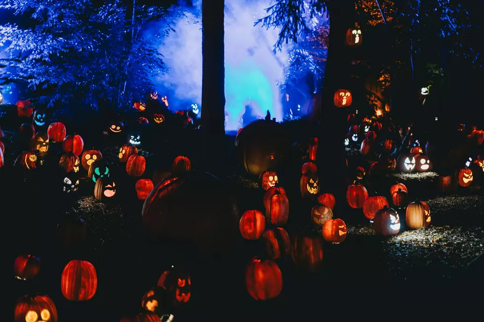 trail of jack-o'-lanterns
