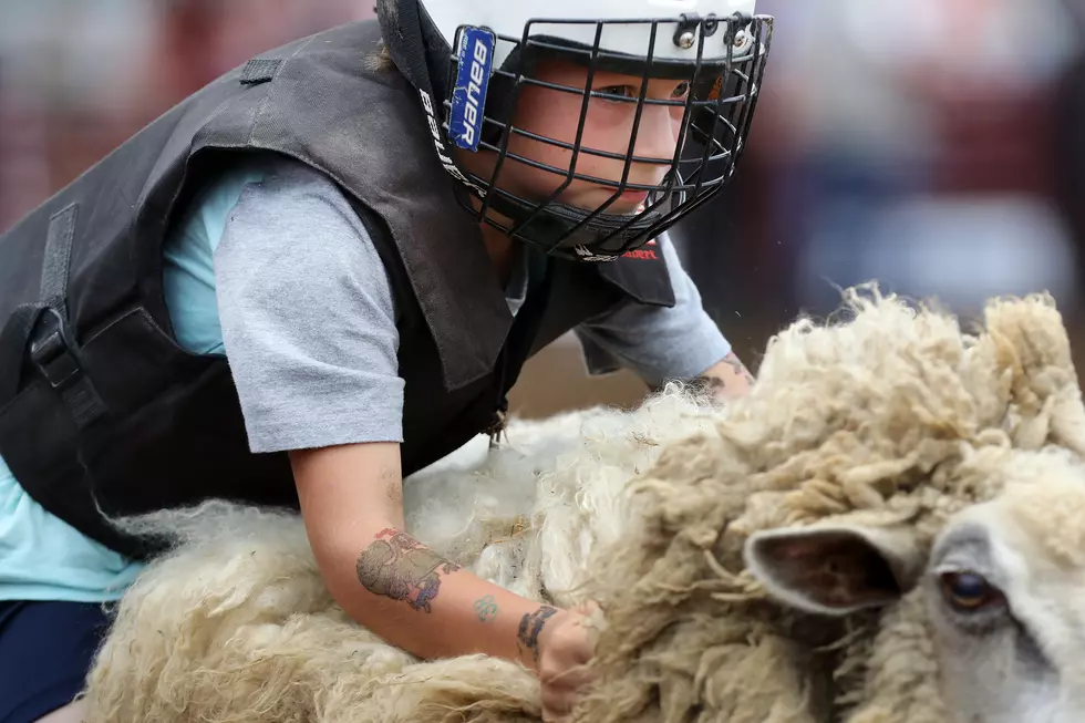 Chip Somodevilla, Getty Images