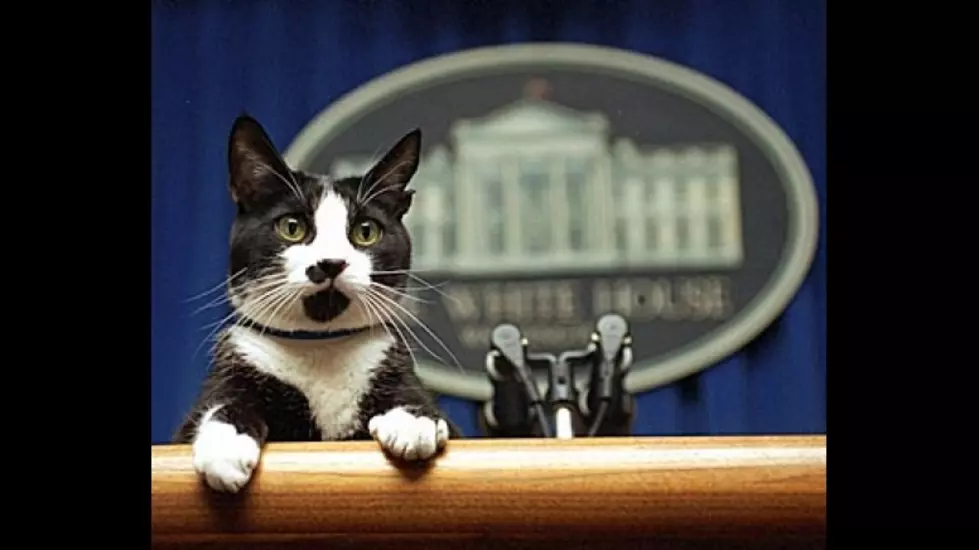 9 Cutest Presidential Pets [PHOTOS]