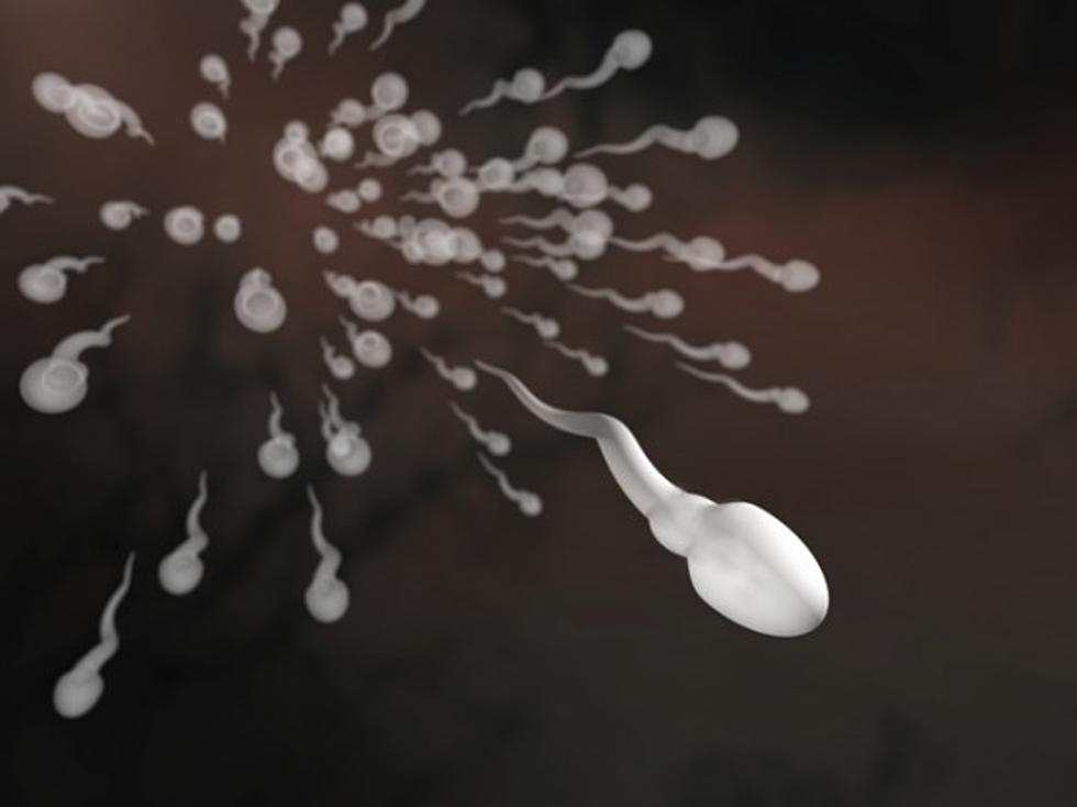 Artificial Testicles May Someday Treat Male Infertility