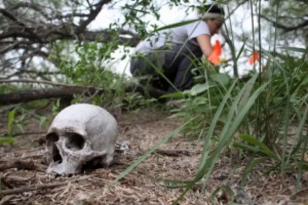 South Texas Police Attempting To ID Skull And Bones