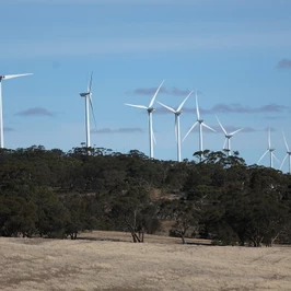South Australian EPA To Investigate Wind Farm Health Implications