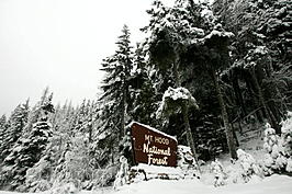 Search For Polish Climber On Oregon&#8217;s Mount Hood