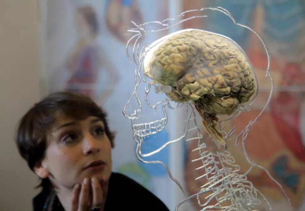 Swiss University Launches Human Brain Project