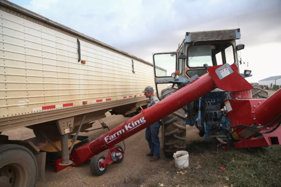 Grain Mixed, Cattle Higher, Pork Lower