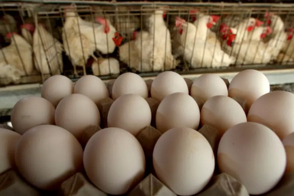 Arkansas To Get $165 Million Peco Foods Poultry Plant