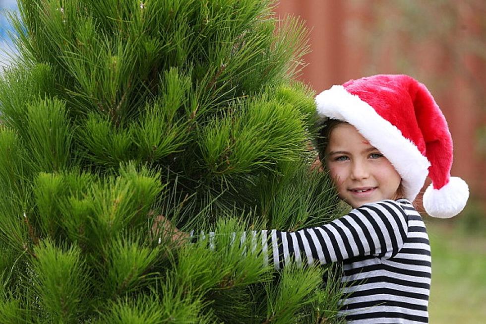 Trade-A-Thon asks, is your tree up?