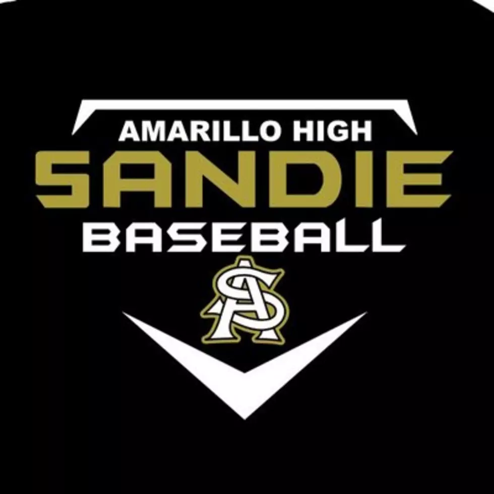 Former Sandie Randon Johnson to Take Over AHS Baseball Program