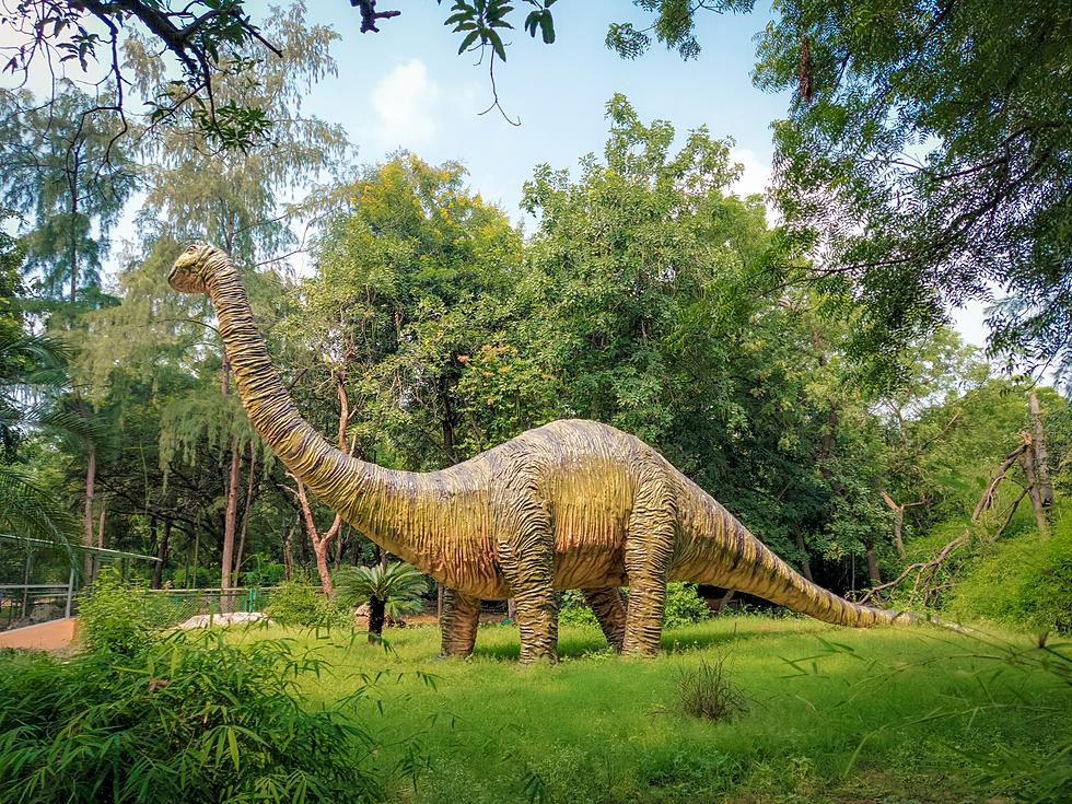 How Texas of Us To Have This Gigantic Creature With An Insanely Long Neck as a State Symbol