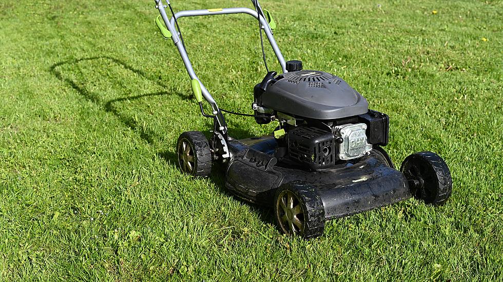Gone in Green: Borger’s Stolen Community Lawnmower Sparks Outrage