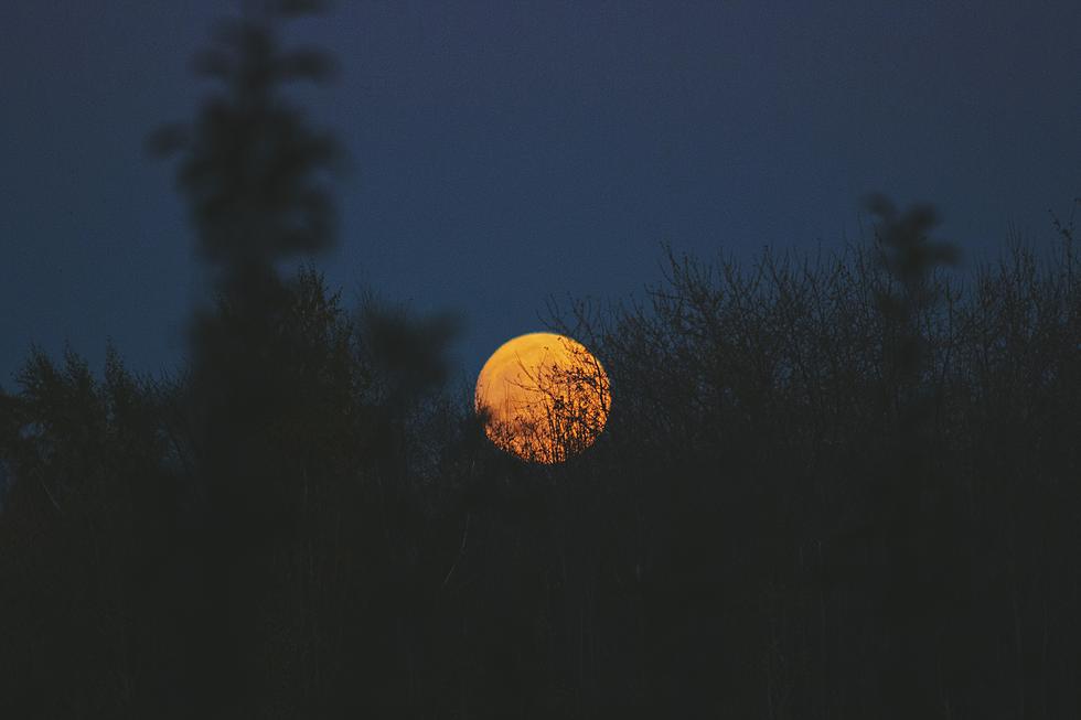 These Predator Photos From The Panhandle Will Make You Shudder