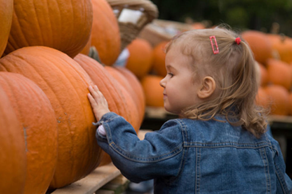 Study Reveals Autumn Babies Live Longer