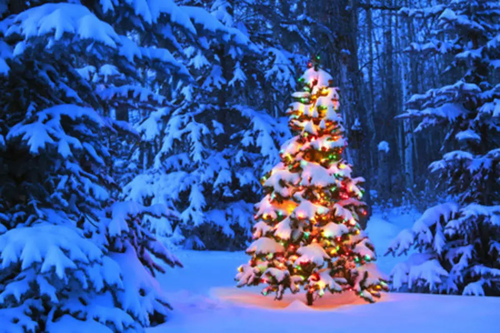 DeTar Christmas Tree Lighting Celebration