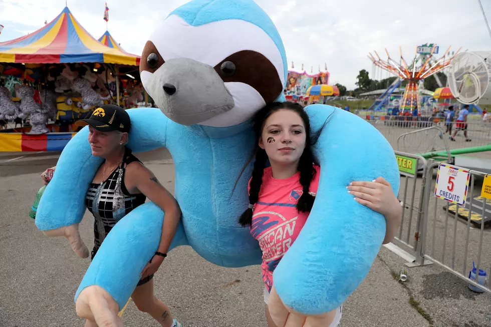 The Rodeo May Be Canceled, But The Fair Continues On