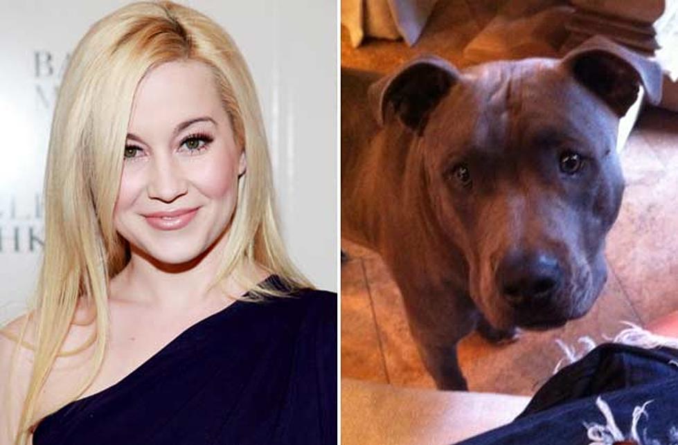 Kellie Pickler Gives Update on Chunk, Her Rescued Pit Bull