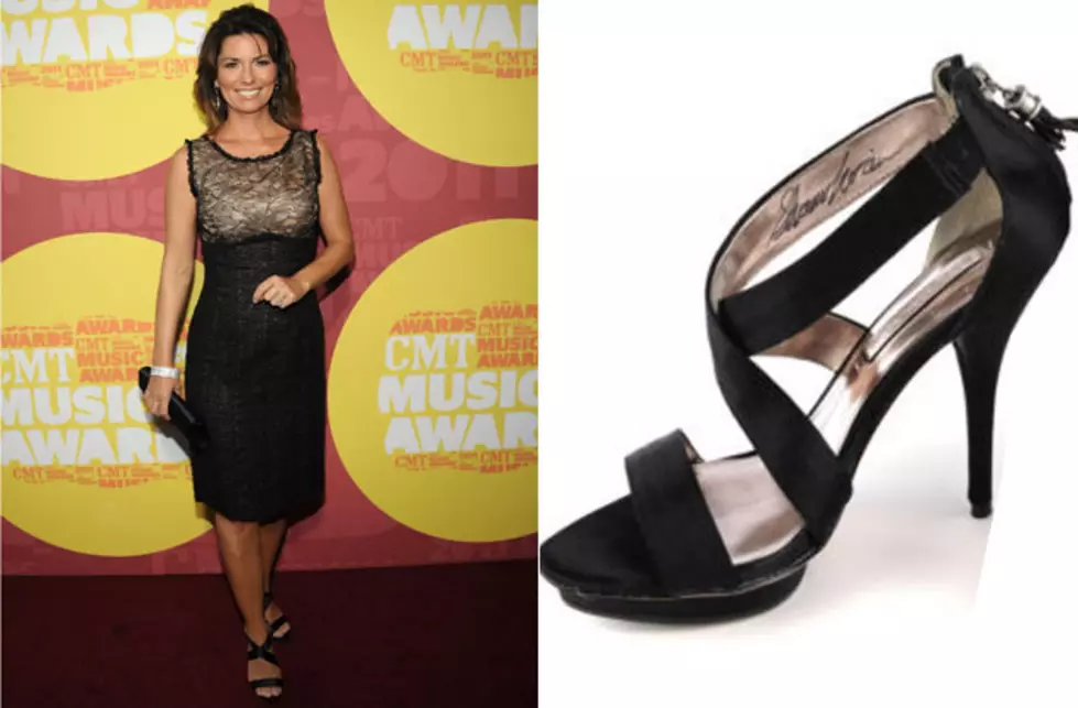 Shania Twain's Infamous Heels Bring in $9000 for Charity