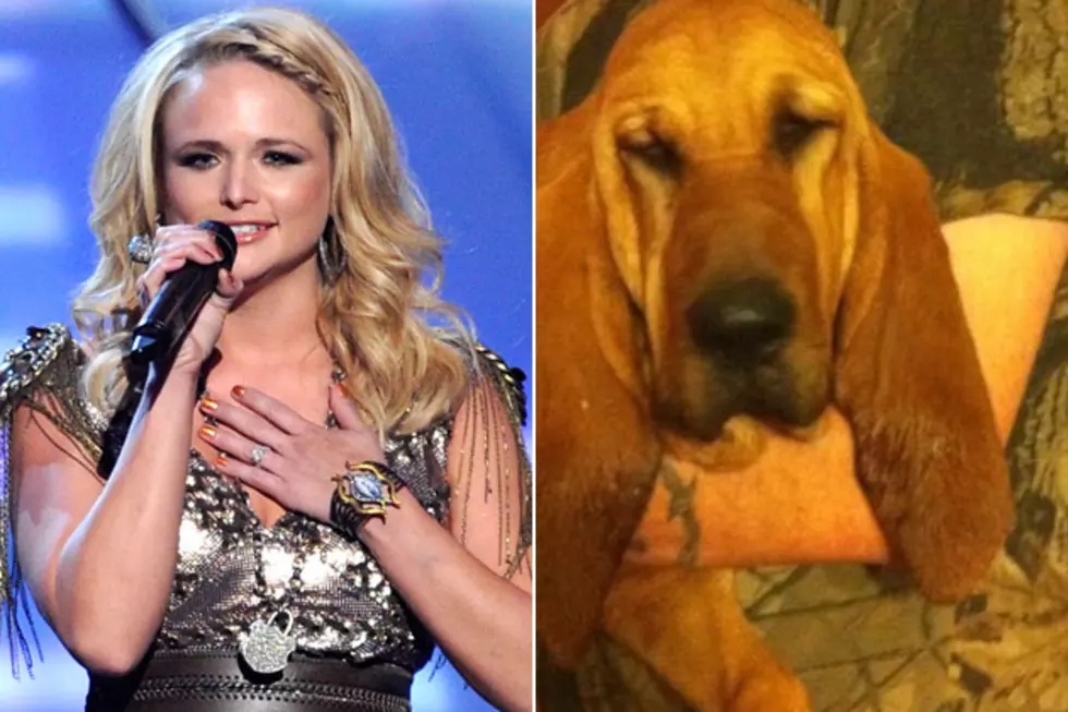 Miranda Lambert Takes In a New Dog
